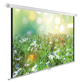 Экран Cactus 200x200см WallExpert CS-PSWE-200x200-WT 1:1 настенно-потолочный рулонный - купить недорого с доставкой в интернет-магазине