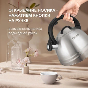 Чайник металлический Rondell Zart RDS-1828 2.7л. стальной - купить недорого с доставкой в интернет-магазине