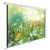 Экран Cactus 200x200см WallExpert CS-PSWE-200x200-WT 1:1 настенно-потолочный рулонный - купить недорого с доставкой в интернет-магазине