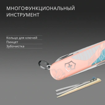 Нож перочинный Victorinox Classic SD Paris Style (0.6223.E221) 58мм 7функц. розовый подар.коробка в комплекте: шнурок - купить недорого с доставкой в интернет-магазине