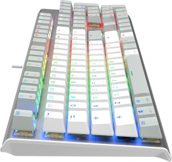 Клавиатура A4Tech Fstyler FS100 Neon механическая серый/белый USB for gamer LED (FS100) - купить недорого с доставкой в интернет-магазине