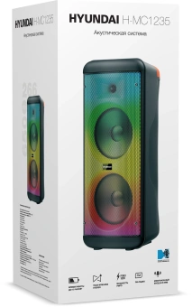 Минисистема Hyundai H-MC1235 черный 40Вт FM USB BT micro SD - купить недорого с доставкой в интернет-магазине