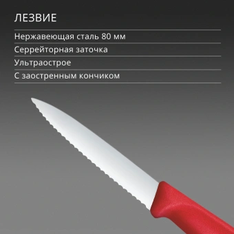 Нож кухонный Victorinox Swiss Classic 6.7631.С1 стальной универсальный для овощей лезв.80мм серрейт. заточка красный - купить недорого с доставкой в интернет-магазине