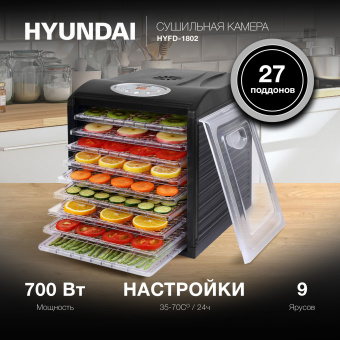 Сушка для фруктов и овощей Hyundai HYFD-1802 27под. 700Вт черный - купить недорого с доставкой в интернет-магазине