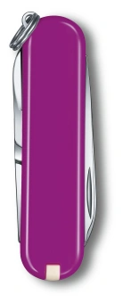 Нож перочинный Victorinox Classic SD Tasty Grape (0.6223.52G) 58мм 7функц. подар.коробка - купить недорого с доставкой в интернет-магазине