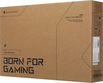 Ноутбук Thunderobot Range 16 Evo Core i5 13420H 16Gb SSD1Tb NVIDIA GeForce RTX5050 8Gb 16" IPS QHD (2560x1600) FreeDOS black WiFi BT Cam (JT009P00KRU) - купить недорого с доставкой в интернет-магазине