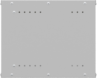 Шкаф коммутационный NTSS Lime (NTSS-WL9U5560GS) настенный 9U 550x600мм пер.дв.стекл несъемн.бок.пан. 30кг серый 110град. IP20 сталь - купить недорого с доставкой в интернет-магазине