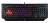 Клавиатура A4Tech Bloody B125N черный USB Multimedia for gamer LED - купить недорого с доставкой в интернет-магазине