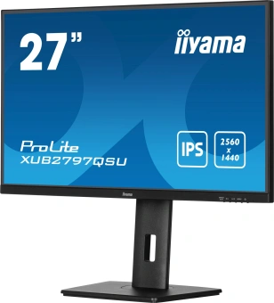 Монитор Iiyama 27" ProLite XUB2797QSU-B2 черный IPS LED 16:9 HDMI M/M матовая HAS Piv 300cd 178гр/178гр 2560x1440 100Hz DP 2K USB 5.7кг - купить недорого с доставкой в интернет-магазине
