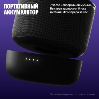 Умная колонка Yandex Станция Мини 3 Про Алиса черный 18W 2.0 BT/Wi-Fi (YNDX-00059BLK) - купить недорого с доставкой в интернет-магазине