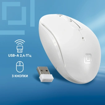 Мышь Оклик 505MW белый оптическая 1000dpi беспров. USB для ноутбука 3but (1018257) - купить недорого с доставкой в интернет-магазине