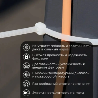 Стяжка пластиковая Rexant 87-0250 250x3.6мм (упак:100шт) нейлон внешний (-60/+85) белый - купить недорого с доставкой в интернет-магазине