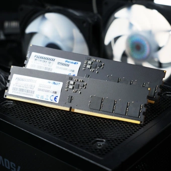 Память DDR5 16GB 6400MHz Patriot PSD516G64081C Signature RTL PC5-51200 CL52 DIMM 288-pin 1.1В single rank Ret - купить недорого с доставкой в интернет-магазине