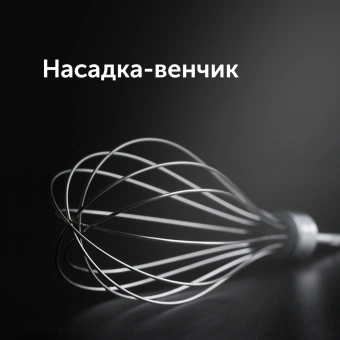 Блендер погружной Red Solution HB2901 1200Вт серебристый/черный - купить недорого с доставкой в интернет-магазине