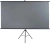 Экран Lumien 84" 110x190см Sky Cinema LSС-100101 16:9 напольный натяжной белый - купить недорого с доставкой в интернет-магазине