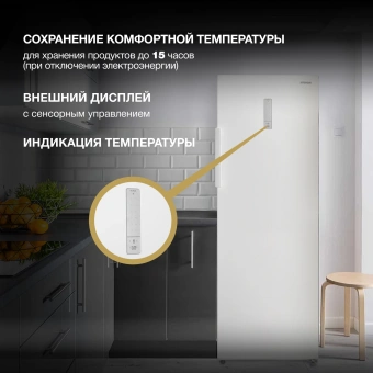 Морозильная камера Hyundai CU2505F белый - цена, купить или заказать с доставкой в интернет-магазине Морозильная камера Hyundai CU2505F белый - купить недорого с доставкой в интернет-магазине