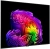 Телевизор OLED LG 65" OLED65G6RLA.ARUG атласное серебро 4K Ultra HD 120Hz DVB-T2 DVB-C DVB-S2 USB WiFi Smart TV - цена, купить или заказать с доставкой в интернет-магазине Телевизор OLED LG 65" OLED65G6RLA.ARUG атласное серебро 4K Ultra HD 120Hz DVB-T2 DVB-C DVB-S2 USB WiFi Smart TV - купить недорого с доставкой в интернет-магазине