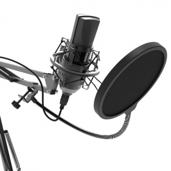 Микрофон проводной Ritmix RDM-180 2.5м черный - купить недорого с доставкой в интернет-магазине