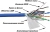 Кабель информационный Lanmaster LAN-5EFTP-LSZH-BL кат.5E F/UTP 4X2X24AWG LSZH внутренний 305м синий - купить недорого с доставкой в интернет-магазине