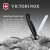 Нож кухонный Victorinox Swiss Classic (6.7833.F) стальной столовый для овощей лезв.110мм серрейт. заточка черный карт.коробка - купить недорого с доставкой в интернет-магазине