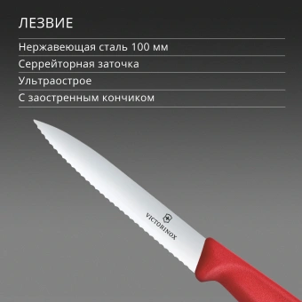Нож кухонный Victorinox Swiss Classic 6.7731.C1 стальной универсальный для овощей лезв.100мм серрейт. заточка красный - купить недорого с доставкой в интернет-магазине