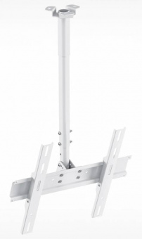 Кронштейн для телевизора Holder PR-101-W белый 32"-65" макс.60кг потолочный фиксированный - купить недорого с доставкой в интернет-магазине