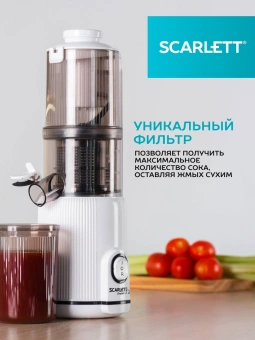 Соковыжималка шнековая Scarlett SC-JE50S63 400Вт рез.сок.:600мл. белый - купить недорого с доставкой в интернет-магазине