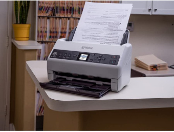 Сканер планшетный/протяжный Epson WorkForce DS-730N (B11B259401/B11B259502) A4 белый - купить недорого с доставкой в интернет-магазине