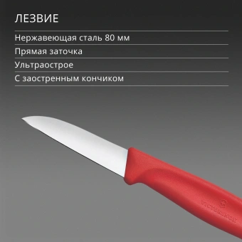 Нож кухонный Victorinox Swiss Classic (6.7301.C1) стальной для чистки овощей и фруктов лезв.60мм прямая заточка красный - купить недорого с доставкой в интернет-магазине