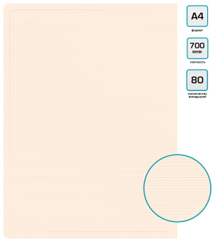 Папка с 80 прозр.вклад. Бюрократ ДеЛюкс DLVBOX80MILK A4 пластик 0.7мм молочный в коробе - купить недорого с доставкой в интернет-магазине