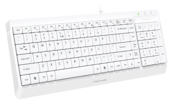Клавиатура A4Tech FK15 белый USB (FK15 WHITE) кабель 1.5м - купить недорого с доставкой в интернет-магазине