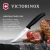 Нож кухонный Victorinox Swiss Classic Gourmet (6.7933) стальной разделочный для стейка/пиццы лезв.120мм серрейт. заточка черный - купить недорого с доставкой в интернет-магазине