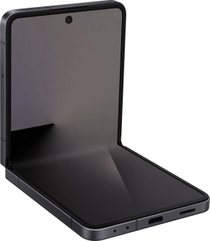 Смартфон Samsung SM-F766B Galaxy Flip7 256Gb 12Gb черный раскладной 3G 4G 1Sim 6.9" 1080x2520 Android 16 50Mpix 802.11 a/b/g/n/ac/ax/be NFC GPS GSM900/1800 GSM1900 Protect - купить недорого с доставкой в интернет-магазине