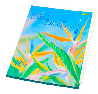 Папка для акварели Silwerhof 914008-54 A3 10л. бум.180г/м2 - купить недорого с доставкой в интернет-магазине