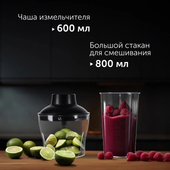 Блендер погружной Red Solution HB2901 1200Вт серебристый/черный - купить недорого с доставкой в интернет-магазине
