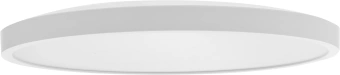 Умный светильник Xiaomi Ceiling Mi Smart LED Ceiling Light D40 потолоч. белый (BHR9933GL) - купить недорого с доставкой в интернет-магазине
