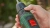 Дрель-шуруповерт Bosch EasyDrill 1200 аккум. патрон:быстрозажимной (кейс в комплекте) (06039D3007) - купить недорого с доставкой в интернет-магазине