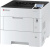 МФУ лазерный Kyocera PA5500x (110C0W3NL0) A4 Duplex - купить недорого с доставкой в интернет-магазине