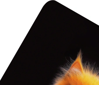 Коврик для мыши Cactus Red Cat 220x180x2мм (CS-MPC-P11XS) - купить недорого с доставкой в интернет-магазине