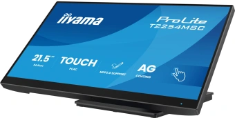 Монитор Iiyama 21.5" ProLite T2254MSC-B2AG черный IPS LED 4ms 16:9 HDMI M/M глянцевая HAS 1300:1 300cd 178гр/178гр 1920x1080 100Hz DP FHD USB Touch 2.9кг - купить недорого с доставкой в интернет-магазине