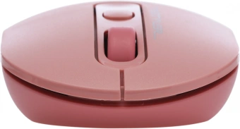 Мышь A4Tech Fstyler FG20 розовый оптическая 2000dpi беспров. USB для ноутбука 4but (FG20 PINK) - купить недорого с доставкой в интернет-магазине