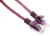Патч-корд Premier PP12-0.25M/V 1000Гбит/с UTP 4 пары cat.5E CCA molded 0.25м фиолетовый RJ-45 (m)-RJ-45 (m) - купить недорого с доставкой в интернет-магазине