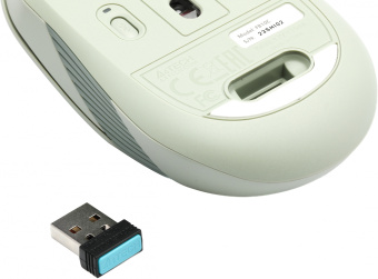 Мышь A4Tech Fstyler FB10C зеленый оптическая 2000dpi беспров. BT/Radio USB 4but (FB10C MATCHA GREEN) - купить недорого с доставкой в интернет-магазине