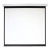 Экран Digis 118" 213x213см Electra-F DSEF-1107 1:1 настенно-потолочный рулонный (моторизованный привод) - купить недорого с доставкой в интернет-магазине
