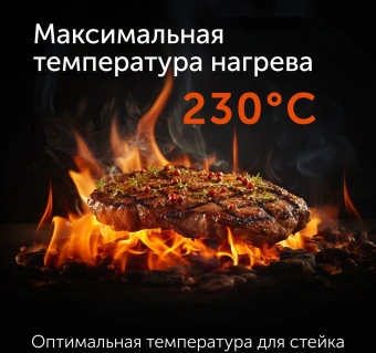Электрогриль Red Solution G830D 2000Вт черный - купить недорого с доставкой в интернет-магазине