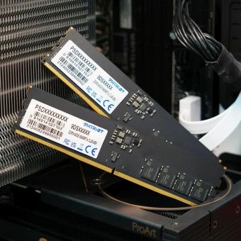 Память DDR5 16GB 6400MHz Patriot PSD516G64081C Signature RTL PC5-51200 CL52 DIMM 288-pin 1.1В single rank Ret - купить недорого с доставкой в интернет-магазине