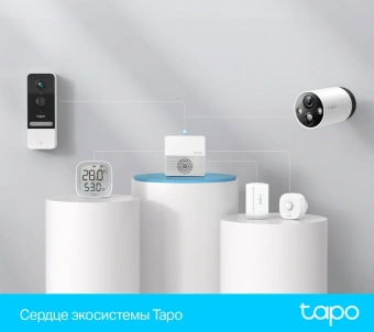 Центр управления TP-Link Tapo H200 - купить недорого с доставкой в интернет-магазине