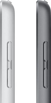 Планшет Apple iPad 2021 A2602 A13 Bionic 6С ROM64Gb 10.2" IPS 2160x1620 iOS серый космос 8Mpix 12Mpix BT WiFi Touch 10hr - купить недорого с доставкой в интернет-магазине