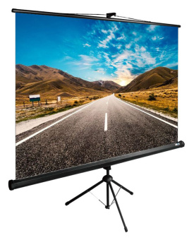 Экран Cactus 160x160см TriExpert CS-PSTE-160x160-BK 1:1 напольный рулонный черный - купить недорого с доставкой в интернет-магазине
