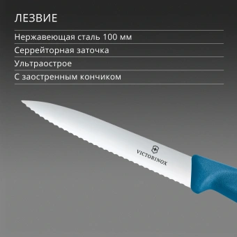 Нож кухонный Victorinox Swiss Classic (6.7732.C1) стальной универсальный для чистки овощей и фруктов лезв.100мм серрейт. заточка синий - купить недорого с доставкой в интернет-магазине